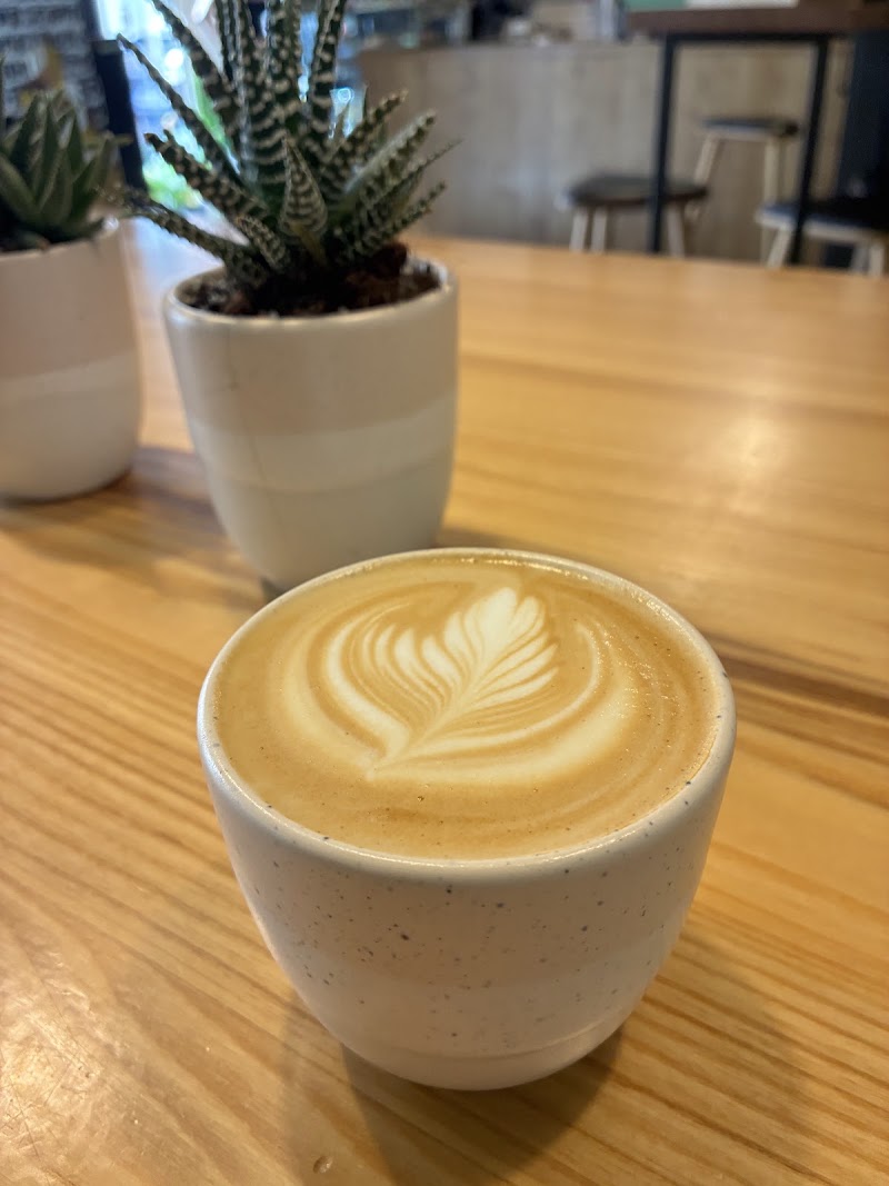 Tociekawa Specialty Coffee